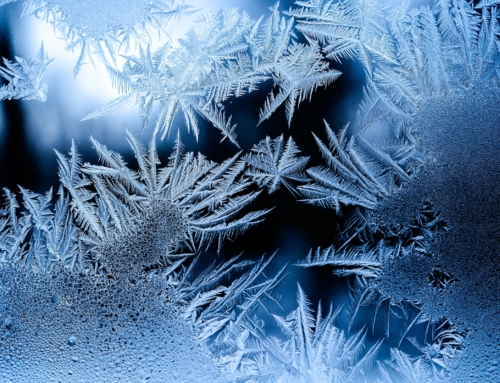 11 Noiembrie 2022 – ITC gheata