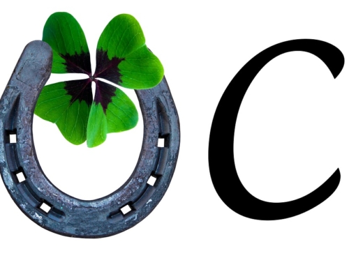 16 Ianuarie 2023 – CSD noroc