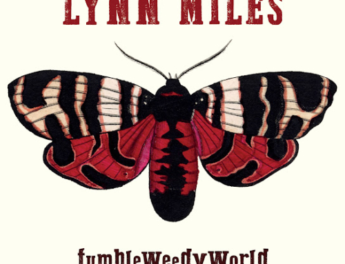 Lynn Miles – TumbleWeedyWorld
