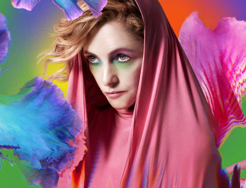 Alison Goldfrapp – The Love Invention