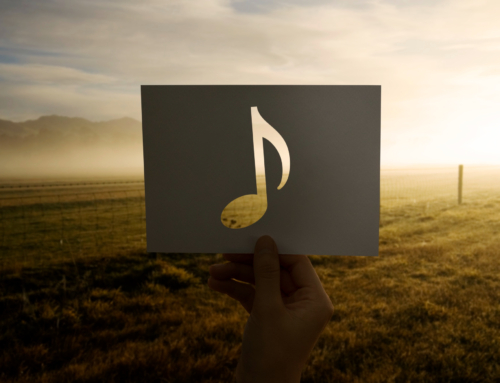 16-18 Decembrie 2023 – Melodia ta preferata