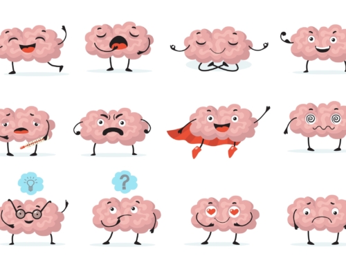 16 Ian 2024 – CSD sentimente